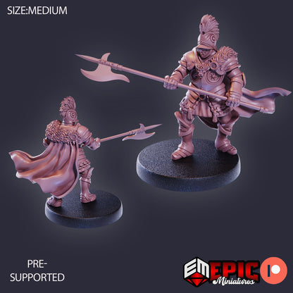 Castle Knight Set Miniature Bundle (Medium) | Premium DnD Miniatures with High Quality Resin | Medieval Fantasy Encounters | Sword, Knights