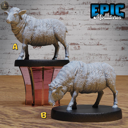 Sheep (Medium) | Premium DnD Miniatures | High Quality Resin | D&D RPG