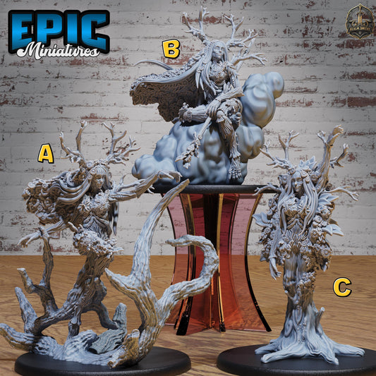 Female Treant (Medium) | Premium DnD Miniatures | High Quality Resin | D&D RPG