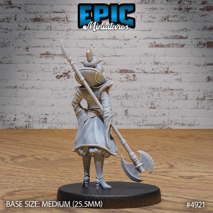 Warrior Empress (Medium) | Premium DnD Minis High Quality Resin | Female, Asian, Axe, Sword, Fighter, Japan, Japanese, Chinese, China, Hair
