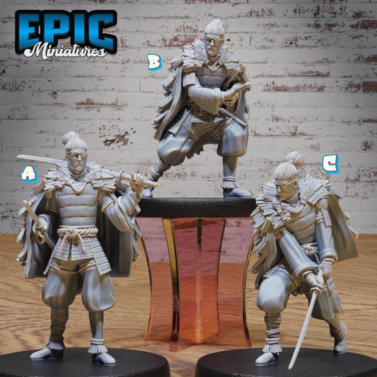 Legendary Ronin (Medium) | Premium DnD Minis High Quality Resin | Kung Fu, Sword, Monk, East Asian, Asia, Japan, Japanese, Hair Bun, Samurai