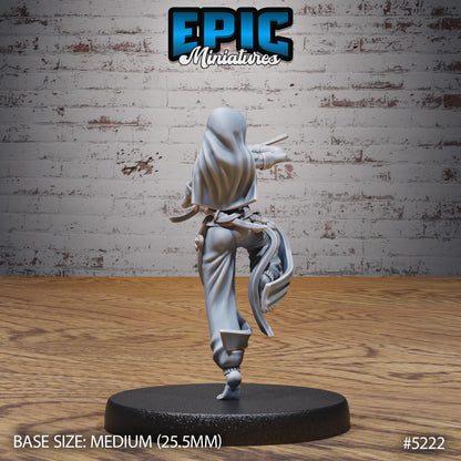 Oriental Army B (Medium+Large) |Premium DnD Minis High Quality Resin Miniature| Mage, Dancer, Rider Mount, Arabian Desert Middle East, Camel