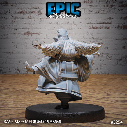 Beetle Tamer (Medium) | #119 - Ancient Nature EPIC Miniatures | High Quality Premium Resin | Old Man, Beard, Chair, Staff, Monk, Ratfolk