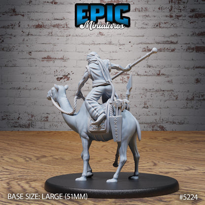 Oriental Army B (Medium+Large) |Premium DnD Minis High Quality Resin Miniature| Mage, Dancer, Rider Mount, Arabian Desert Middle East, Camel