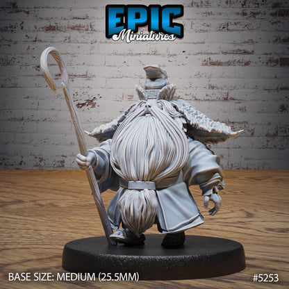 Beetle Tamer (Medium) | #119 - Ancient Nature EPIC Miniatures | High Quality Premium Resin | Old Man, Beard, Chair, Staff, Monk, Ratfolk