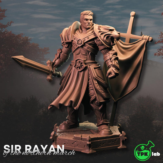 Sir Rayan - Of the Northern March (Medium) | TPK Lab Miniatures | Male, Paladin, Man, Fighter, Sword, Banner, Armor, Human, Oath, 32mm