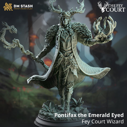Synoria the Noble Hearted - Feywalker Caster (Medium) | DM Stash | A Fey Court | Fey, Wizard, Sorcerer, Elf King, Male Half-Elf, Man, Staff