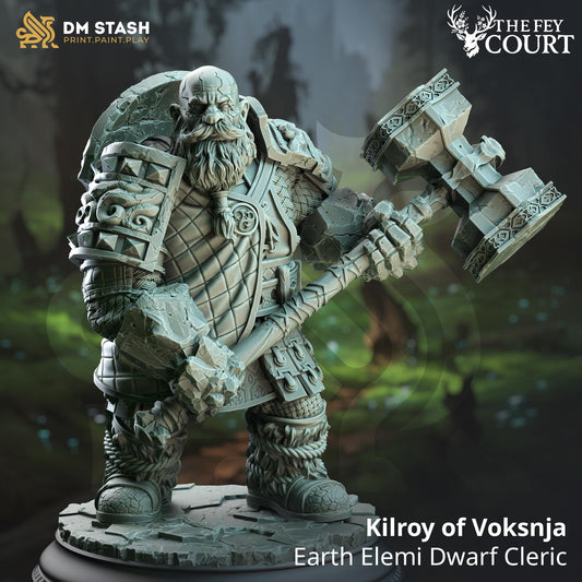 Kilroy of Voksnja - Earth Elemi Dwarf Cleric (Medium) | DM Stash | A Fey Court | Hammer, Dwarf, Bald, Shield, Beard, Dual Wield, Draugr Male