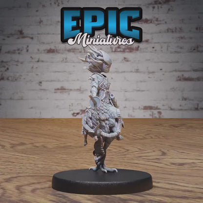 Female Nut Dryad Miniature (Medium) | Premium DnD Minis High Quality Resin | Fantasy, Witch, Fairy, Cute, Walnut, Sword Fighter