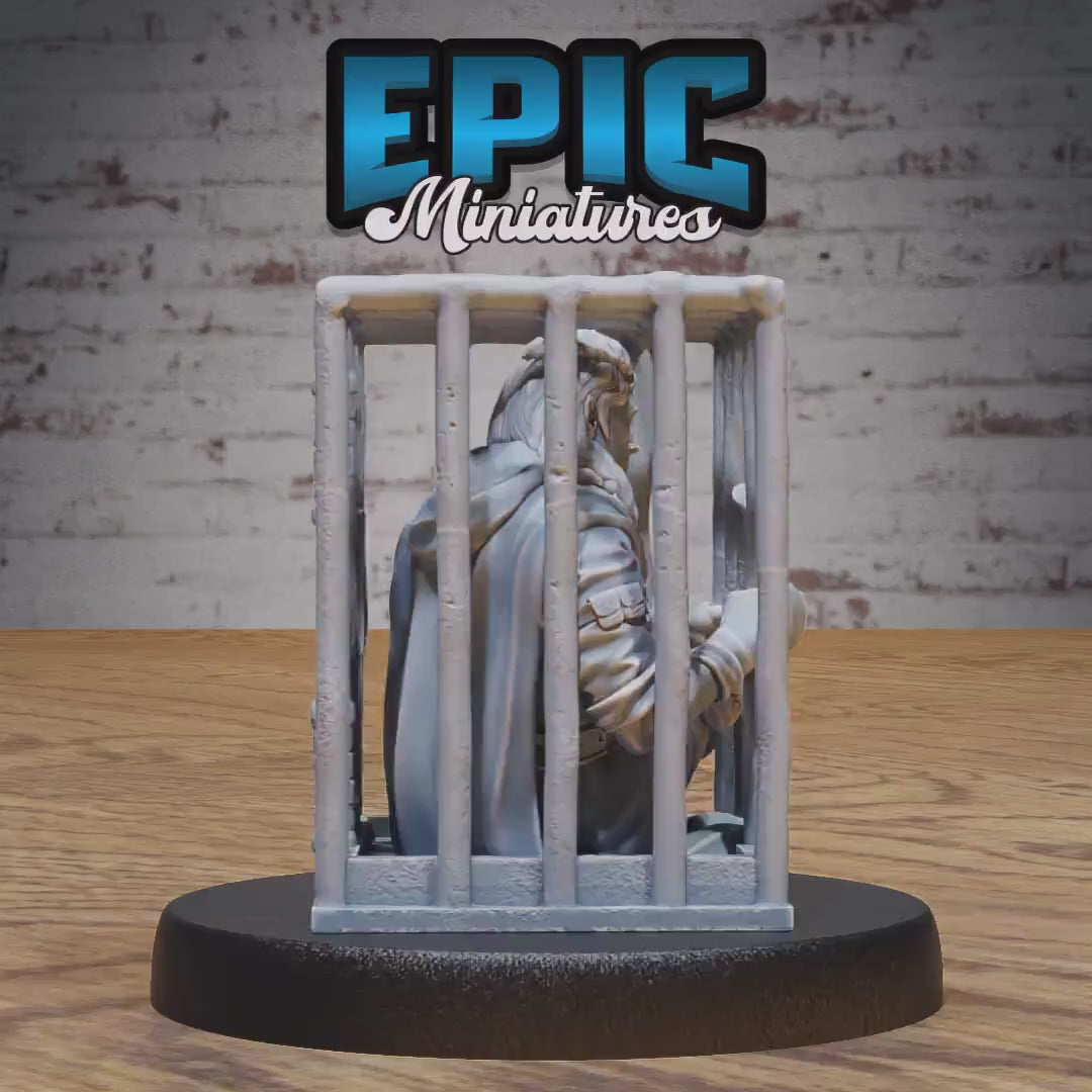 Prisoner (Medium) | Premium DnD Miniatures | High Quality Resin | D&D RPG | EPIC | Homeless Male in Cage, Bard Lute, Tied-Up Man, Stockade